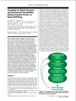 Publication Thumbnail
